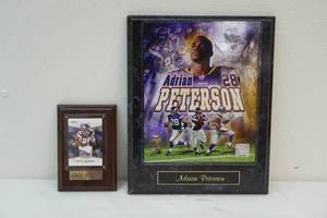MN AP plaques