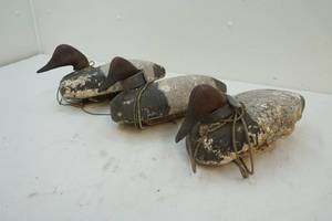 Duck decoys