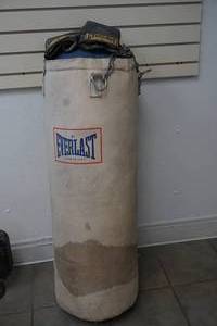 Punching bag, gloves