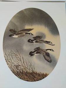 lot 380 image: Nine RJ Nelson Waterfowl Prints- Signed & Numbered