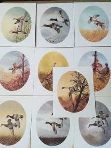 lot 381 image: Ten RJ Nelson Bird Prints- Signed & Numbered