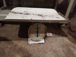 lot 17 image: American Family Nursery Scale