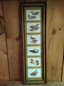 lot 202 image: Mallard Art