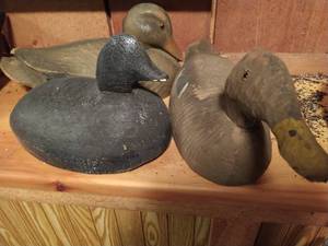 lot 308 image: Decoy Lot #12