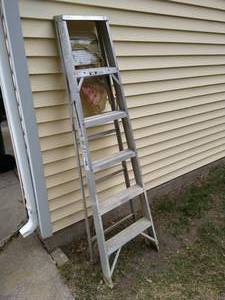 lot 403 image: Werner Ladder