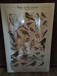lot 74 image: Bird Artwork
