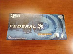 20 Rounds .243 Jacketed Soft Point Ammunition