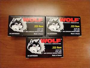 60 Rounds .223 FMJ Ammunition