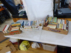 Lot of Paperback Books