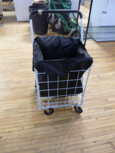 Cart with Bag