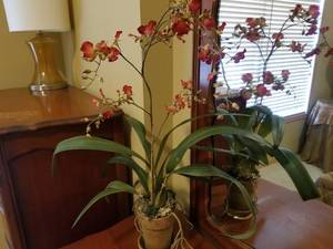 Vintage Home Decor Lot