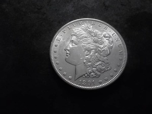 1891 S Morgan Silver Dollar