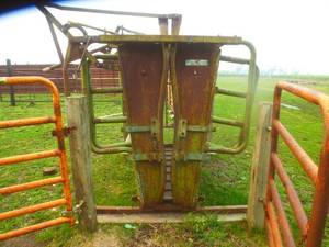 Powder Ridge Cattle Shoot