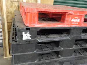 lot 514 image: 4 Plastic Pallets...