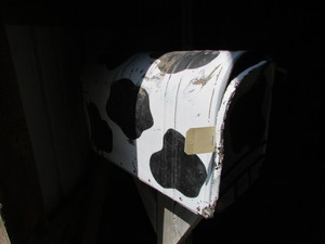 Country Mailbox