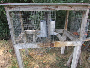 Animal Cages