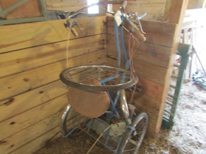 Vintage 3 Wheel Bike
