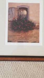 Framed French Window Box Photographs by Scanlan, set of 2