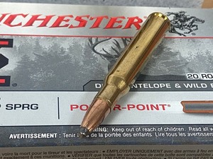 (20) Rounds .30-06 Springfield