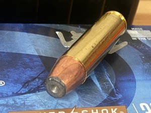 (20) Rounds .450-Bushmaster