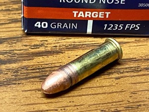 (50) Rounds .22LR