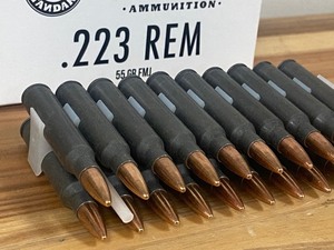 (20) Rounds .223-Rem