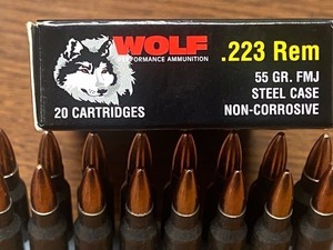 (20) Rounds .223-Rem