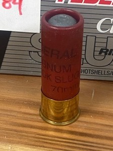 (5) Rounds 12-Gauge Slugs