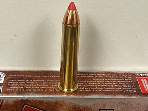 (20) Rounds .45-70 GOVT