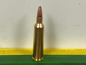 (20) Rounds .22-250