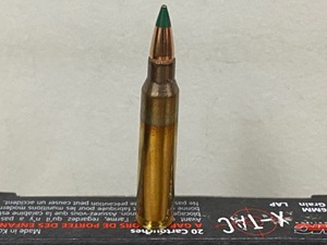 (20) Rounds 5.56mm