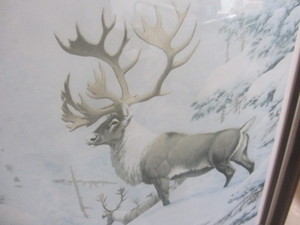 Vintage Caribou Print
