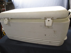 Igloo Cooler