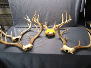 Antlers