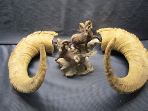 Ram Horns & Figure