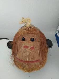 Coconut Monkey Head