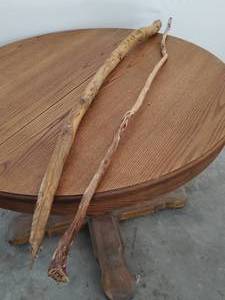 Two Walking Sticks