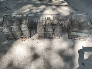 Set of Three Metal Milk Crates with Milk Jugs