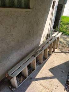 Folding Ladder