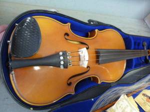 Violin