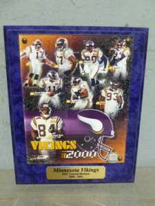 Minnesota Vikings Collectible