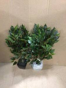 lot 59 image: 20 in. Mini Ficus Artificial Tree Customer Returns See Pictures