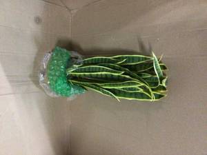 Indoor 33 in. Sansevieria Artificial Plant Customer Returns See Pictures