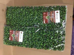 Expandable IndoorOutdoor Brown PVC Trellis with Gardenia Leaf Customer Returns See Pictures