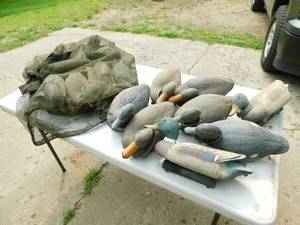 lot 29 image: A Lot Full Of Floating Duck Decoys