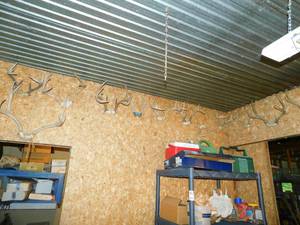 lot 65 image: A Bunch Of Deer-Antelope,  Etc  Antlers