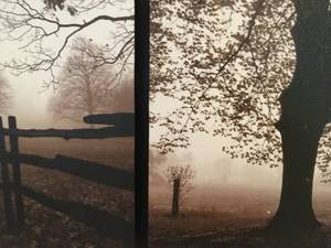 lot 198 image: Tri-Wood Framed Artwork