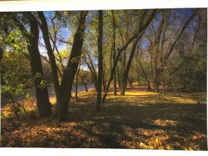 lot 193 image: Fall Scenic Print