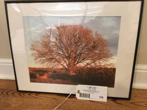 lot 196 image: The Woods Framed Art - Set of 3