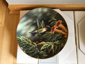 Plate Rack with 10 Plates
